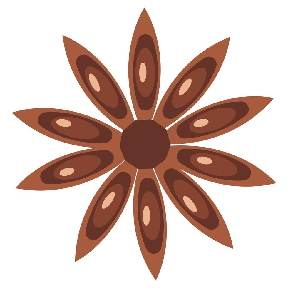 Cinnamon flower. Aromatic spice. Vector illustration isolated on white background.