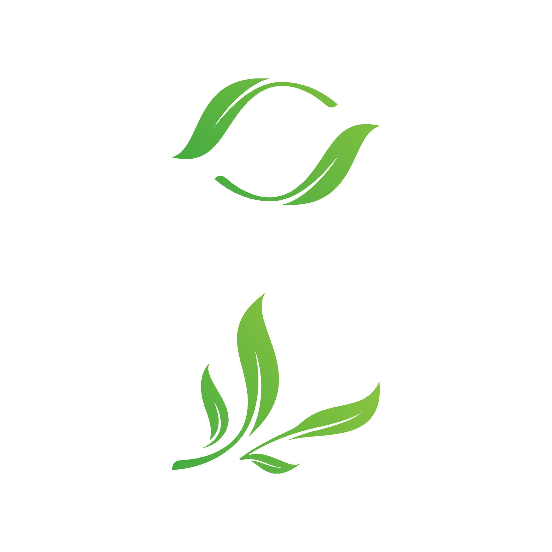 Olive leaf vector illustration design 13095071 Vector Art at Vecteezy