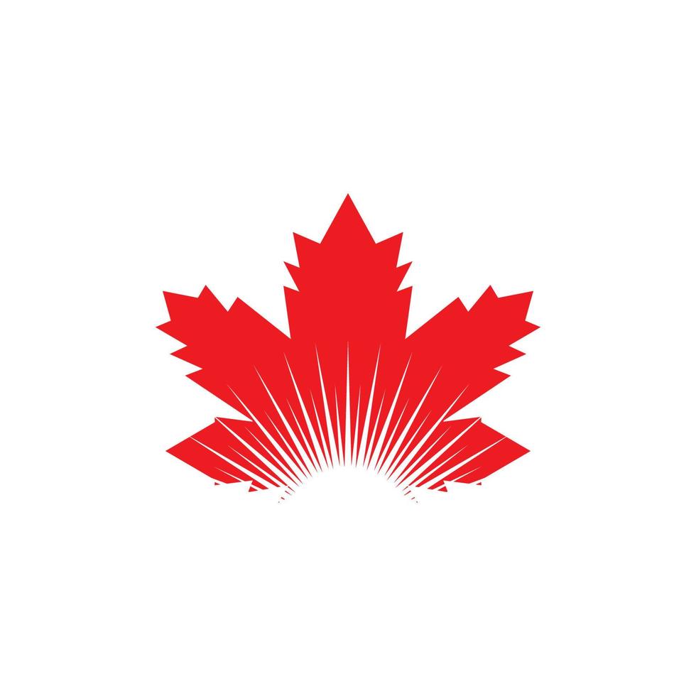 Maple leaf vector illustration