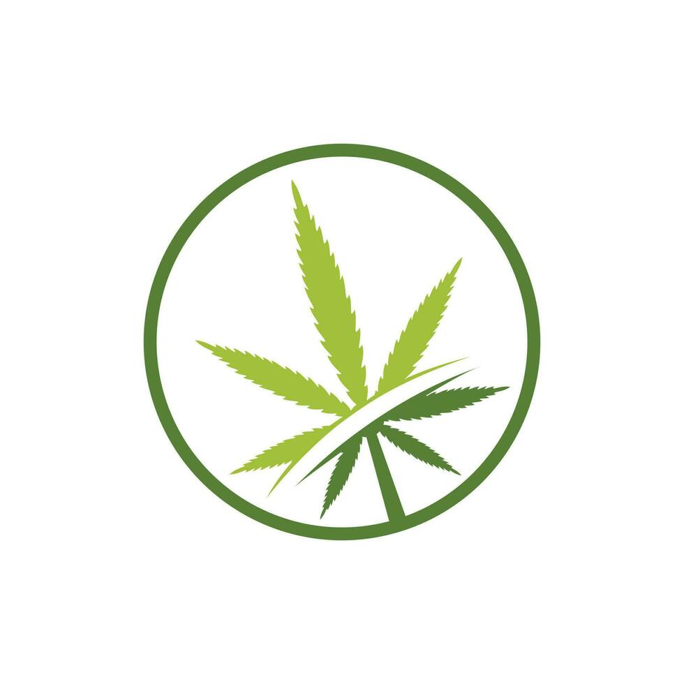 Cannabis leaf vector logo design. Marijuana leaf logo design template vector illustration.