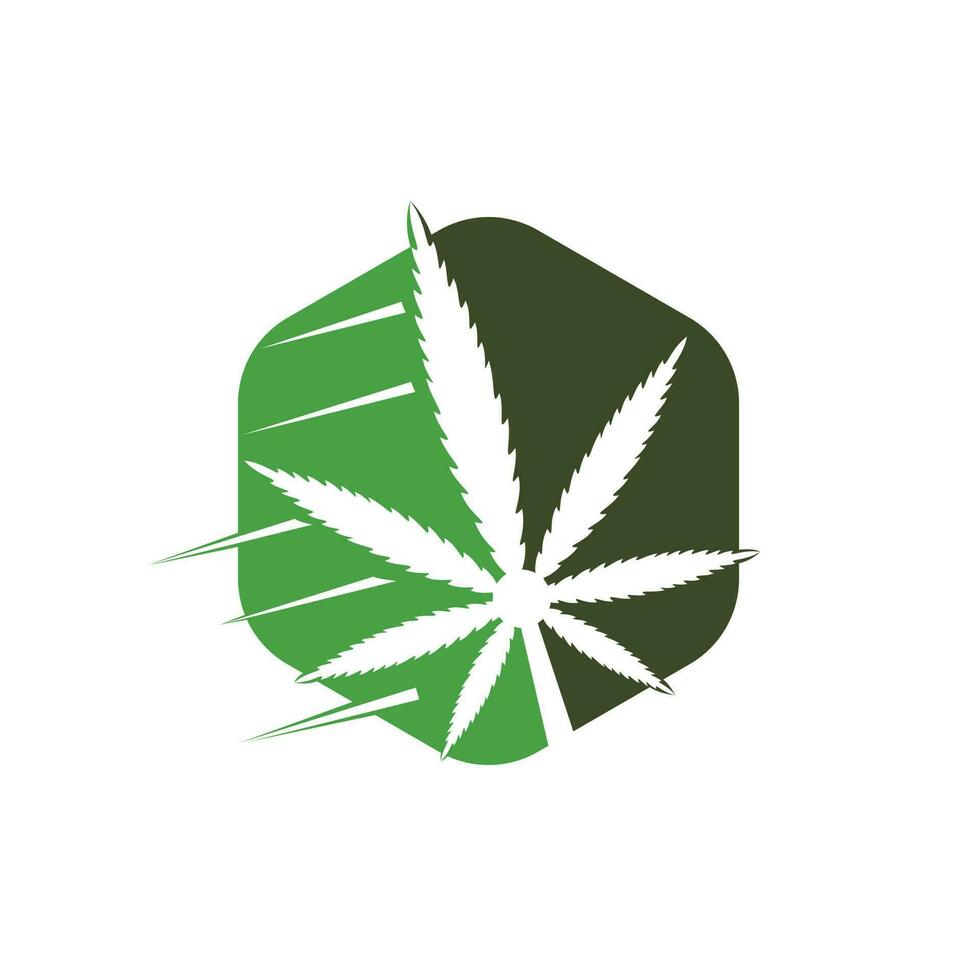 Cannabis leaf vector logo design. Marijuana leaf logo design template vector illustration.