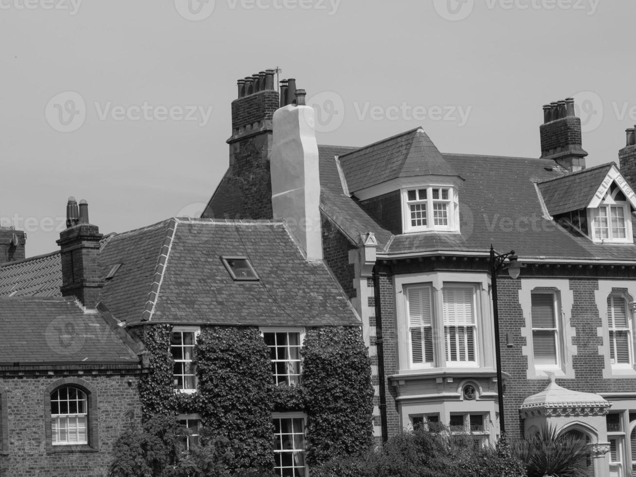newcastle at the british coast photo