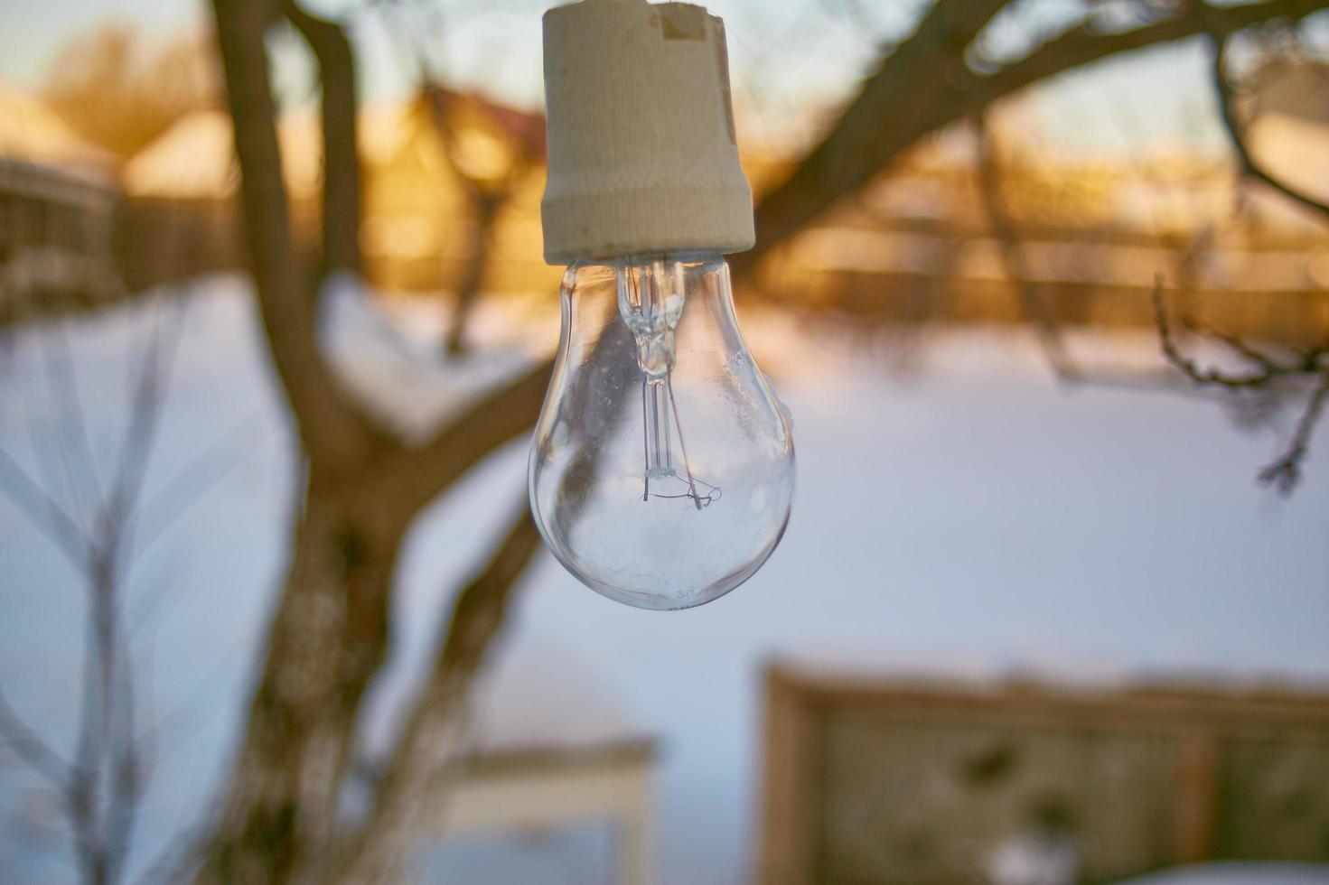 garland of light bulbs in the garden in winter photo