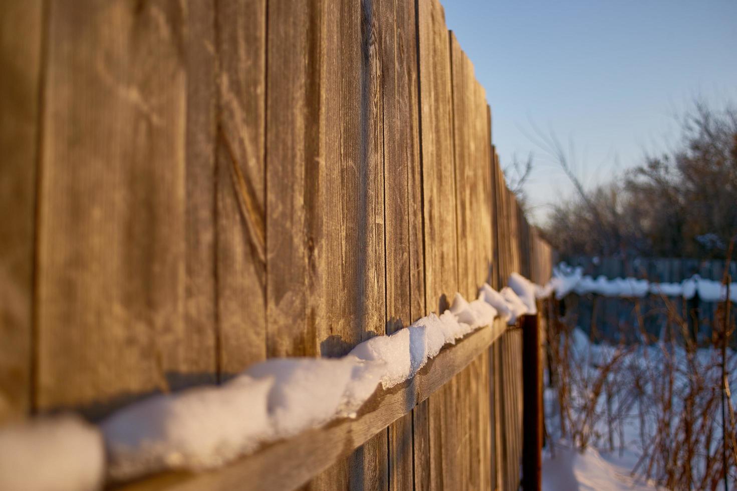 Garden fence, sidewalk and plants covered in snow during a winter storm photo