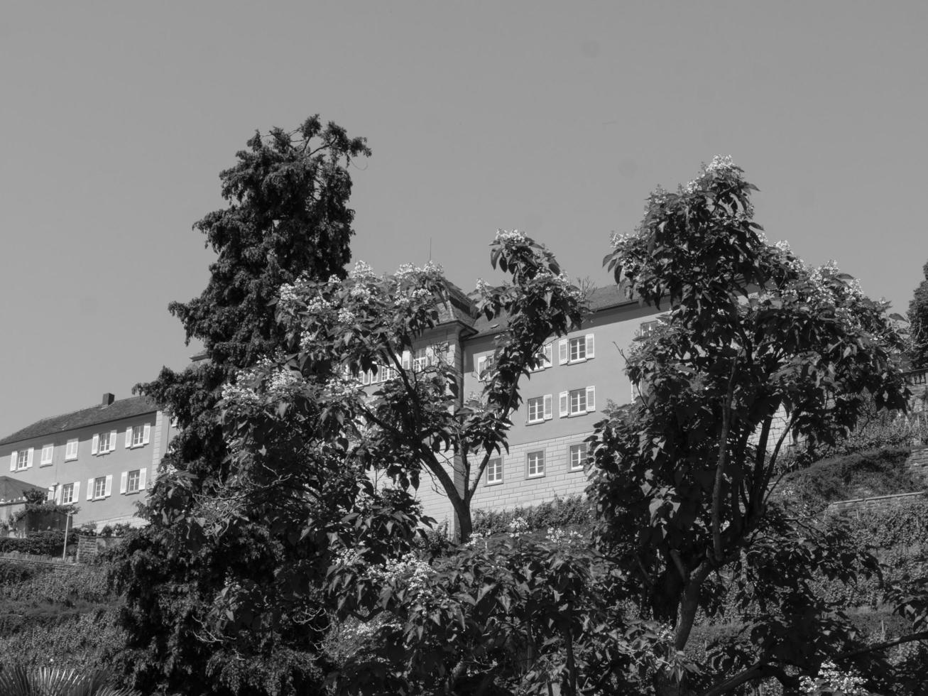 Meersburg at lake Constance photo