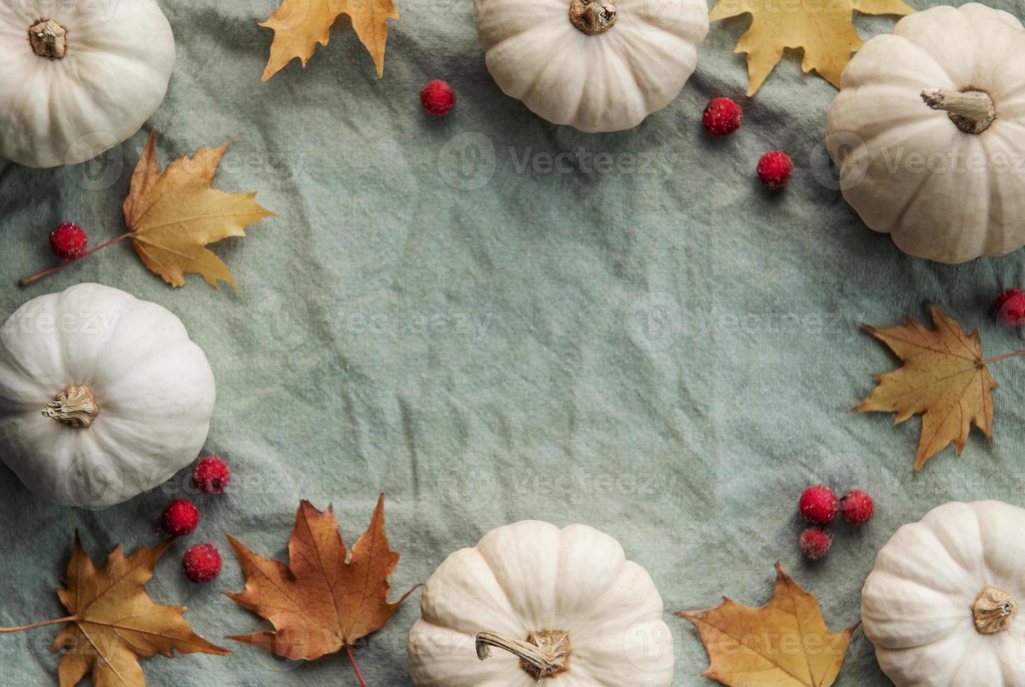 Autumn composition. Frame with pumpkins, dried leaves on green textile background. photo