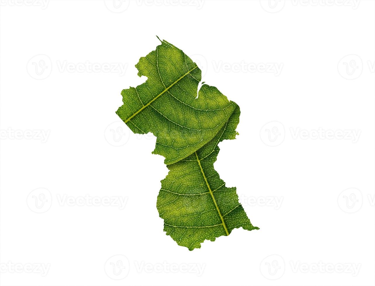 Guyana map made of green leaves on soil background ecology concept photo