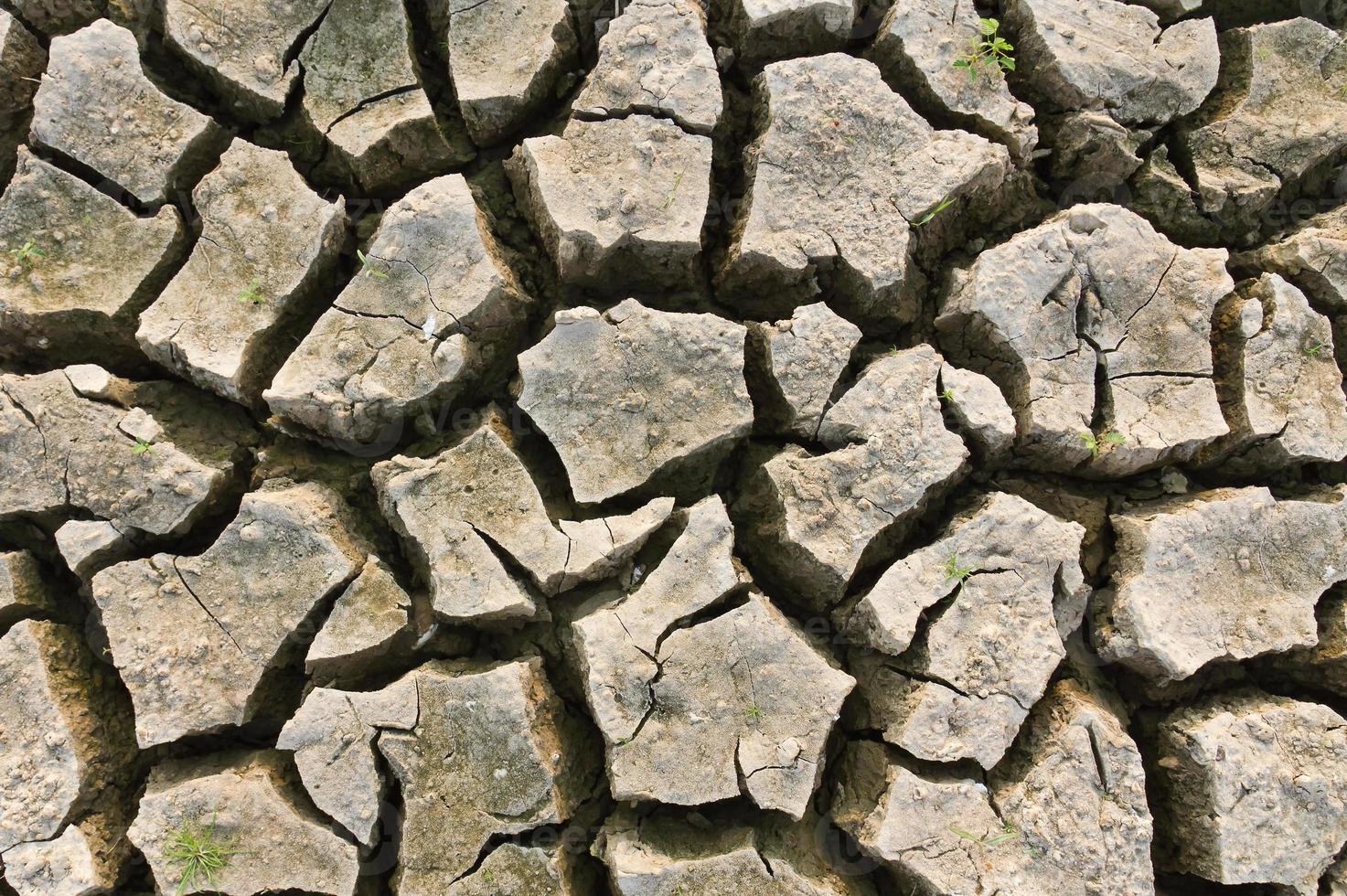 Cracked earth close up photo