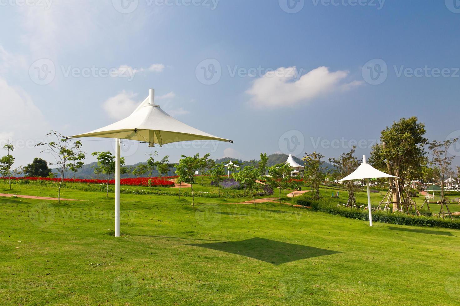 Umberla outdoor in garden photo