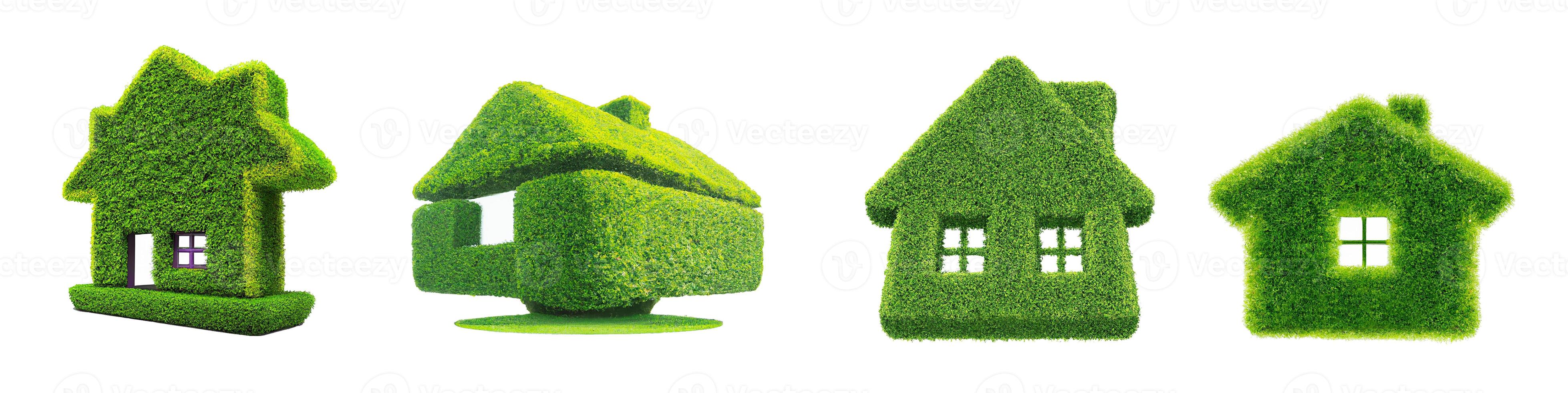 3D illustration, Green grass home icon. photo