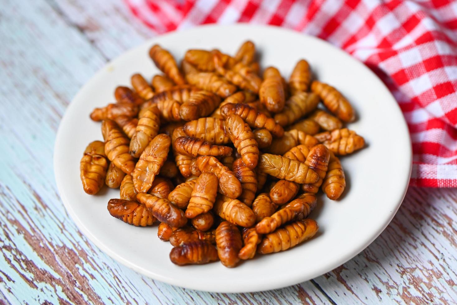 pupa on white plate background, fry silk worms - fried pupa for food beetle worm photo