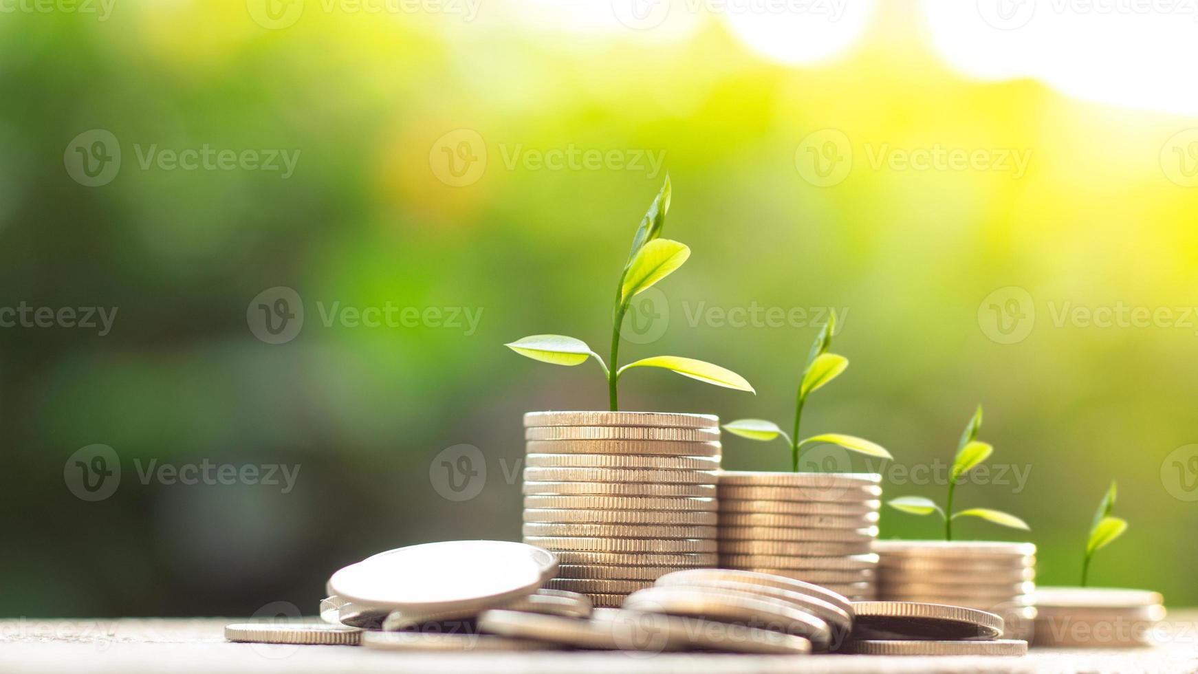 The tree is growing on top a pile of coins with blurred green nature background, Money growing concept and sustainable investment, Business success and financial concept,  Banking and economy idea photo