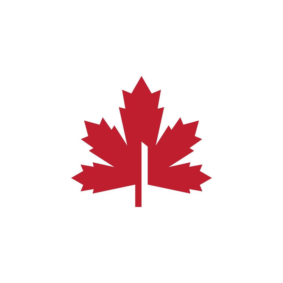 Maple leaf vector illustration