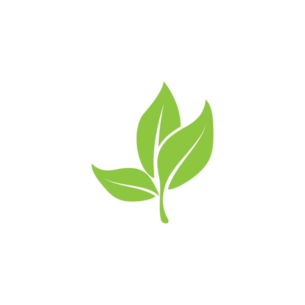 eco tree leaf icon vector