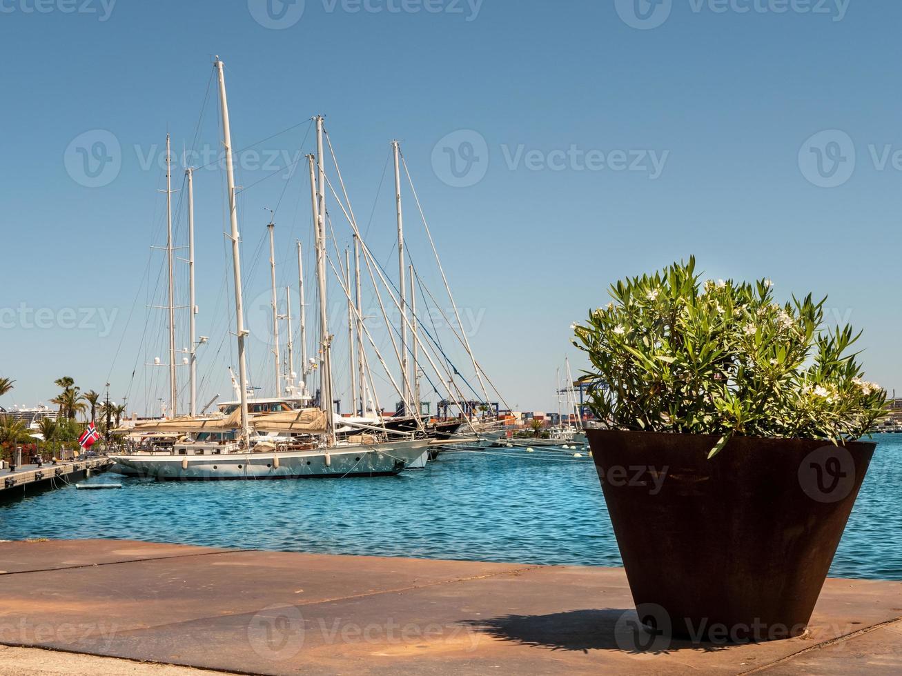 vista de la bahía del puerto con yates amarrados balanceándose sobre las olas foto