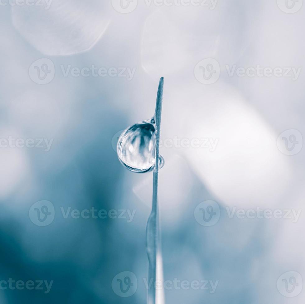 gota de agua en la hoja de hierba en días lluviosos en otoño, fondo azul foto