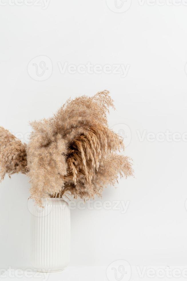 white vase of dry flowers over white wall photo