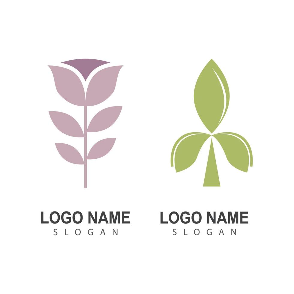 Beauty Florist Botanical Flower Vector Design
