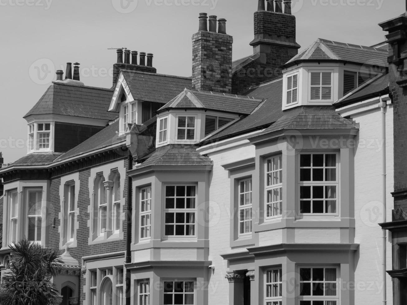 newcastle at the british coast photo