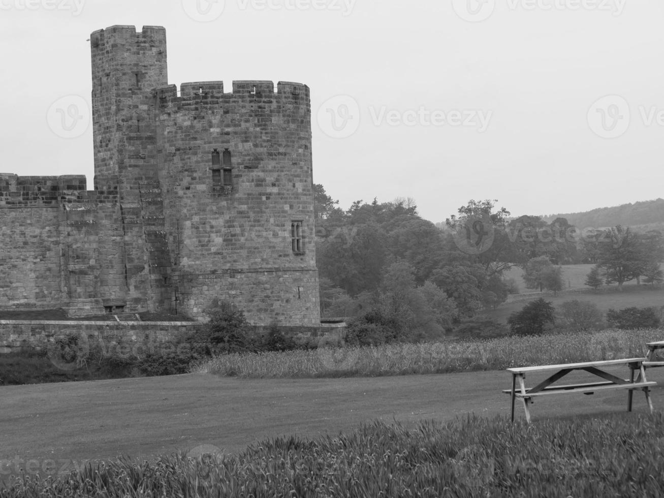 newcastle at the british coast photo