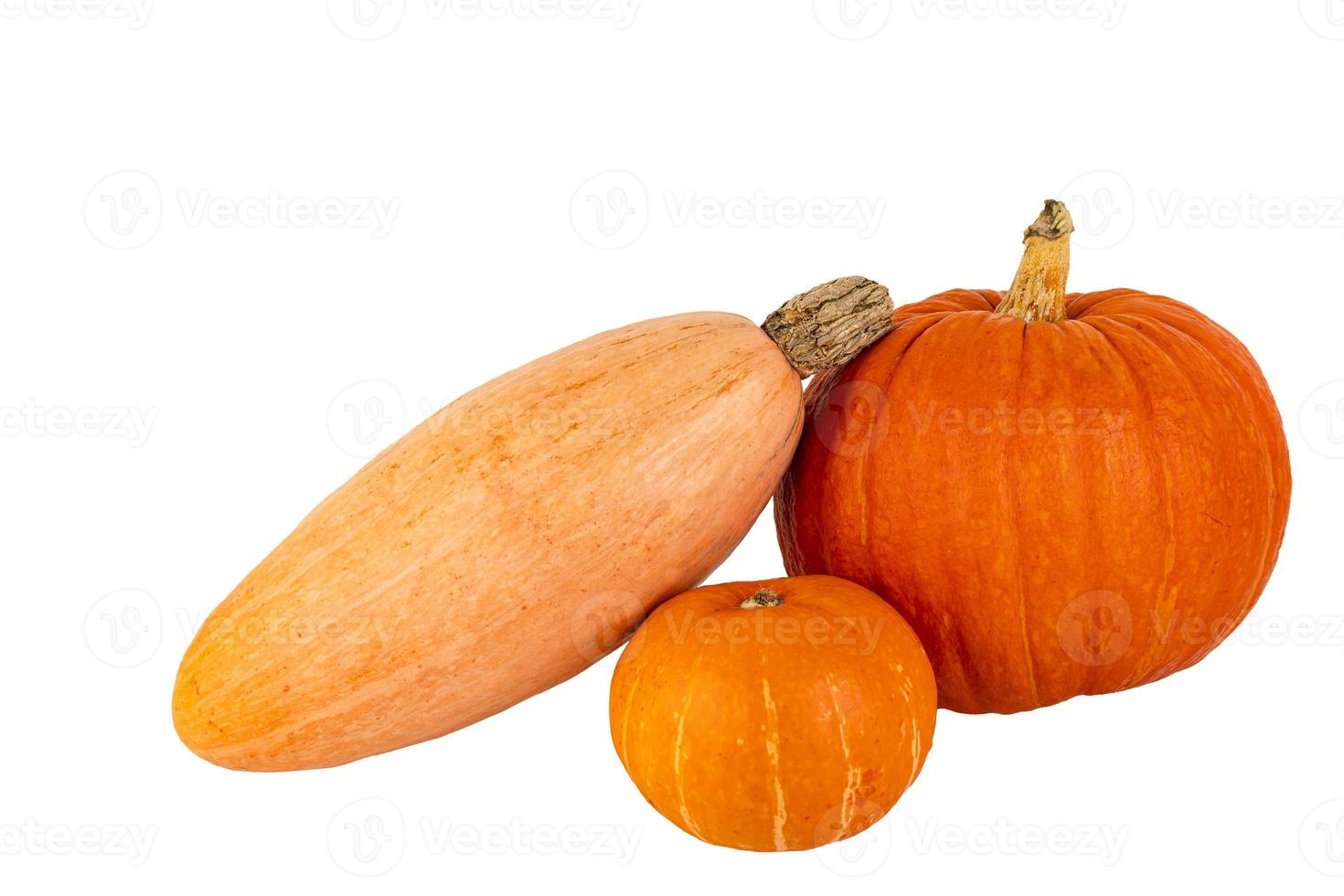 conjunto de tres calabazas naranjas, redondas, ovaladas. fondo blanco aislado. foto