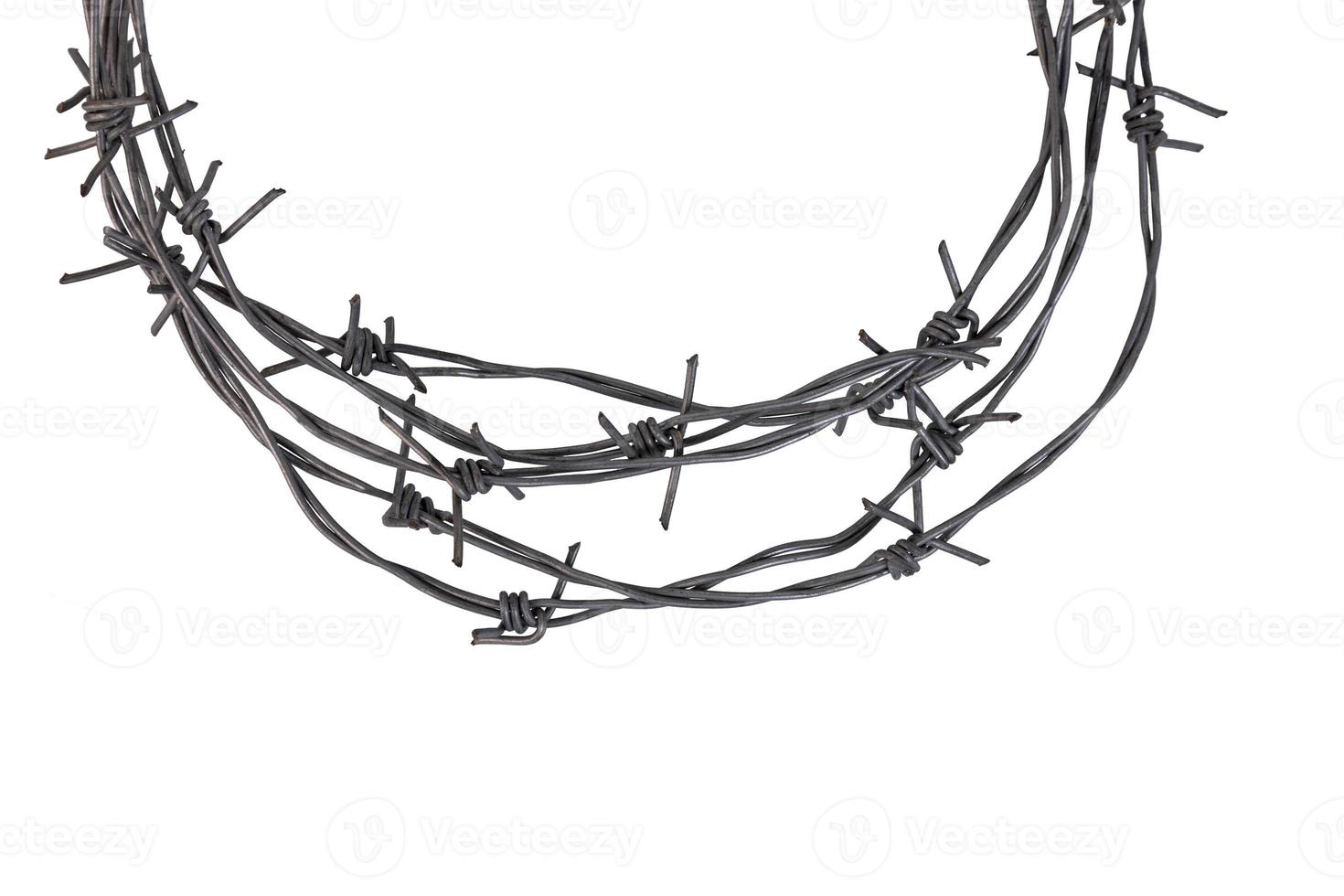 Barbed wire on a white background, isolated white background. photo