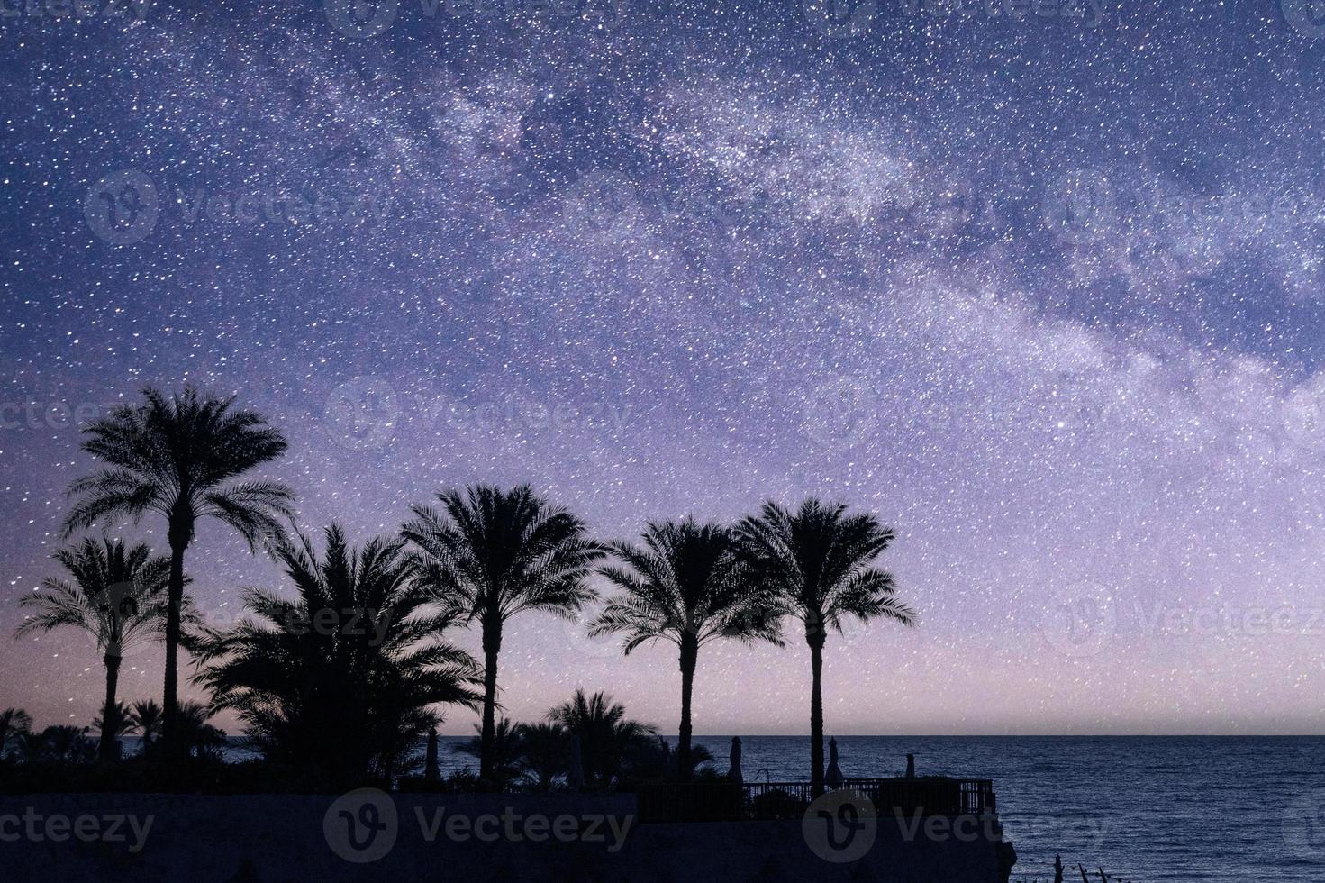 paisaje nocturno, palmeras, el mar rojo contra el fondo del cielo nocturno con estrellas y la vía láctea. Península Sinaí. foto