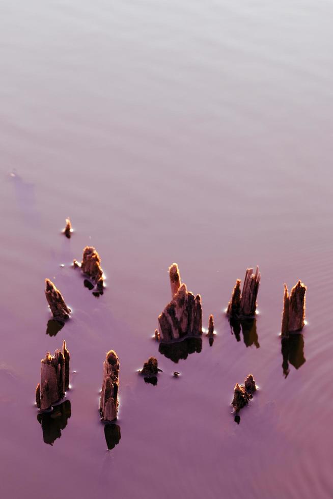 The stumps above the water surface beautifully lit up the empty space. photo