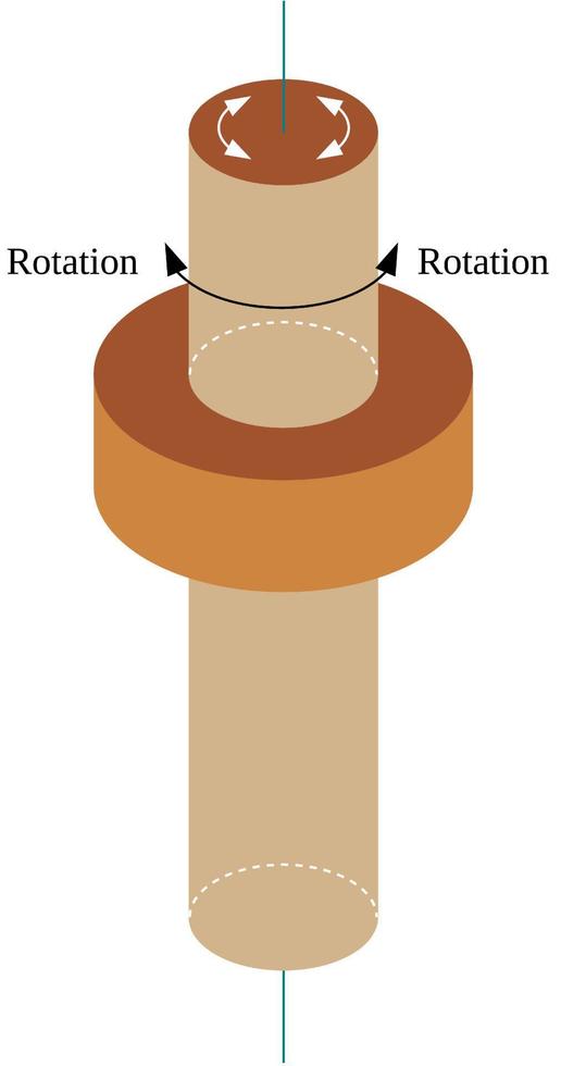 Pivot joint is a type of synovial joint that permit axial rotation vector