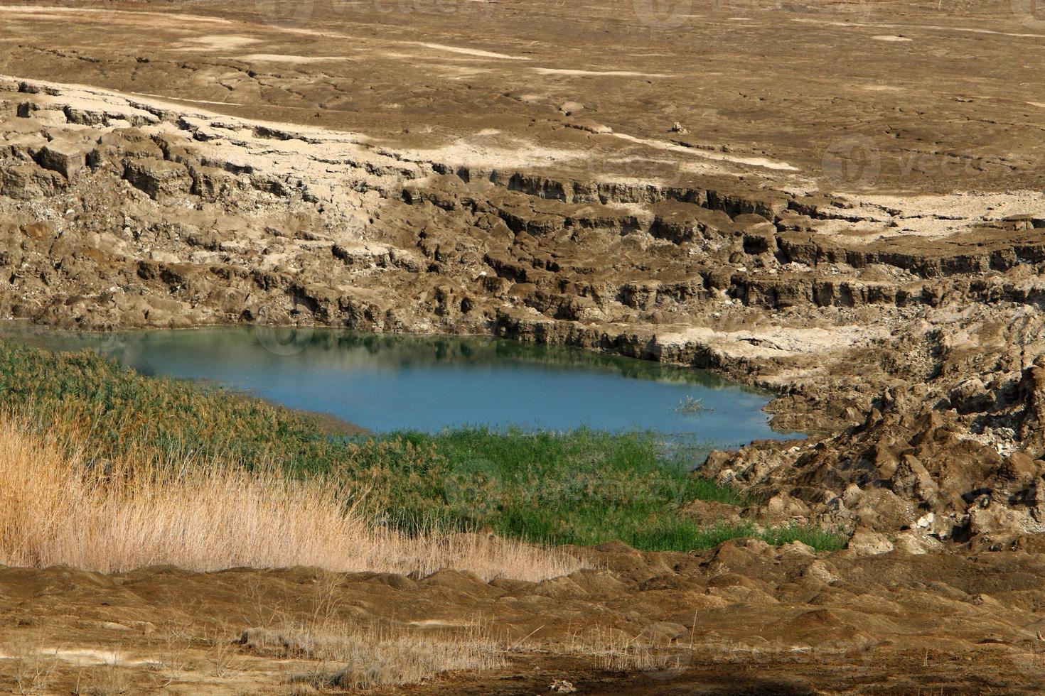 Nature and landscapes of the Dead-salty sea. photo