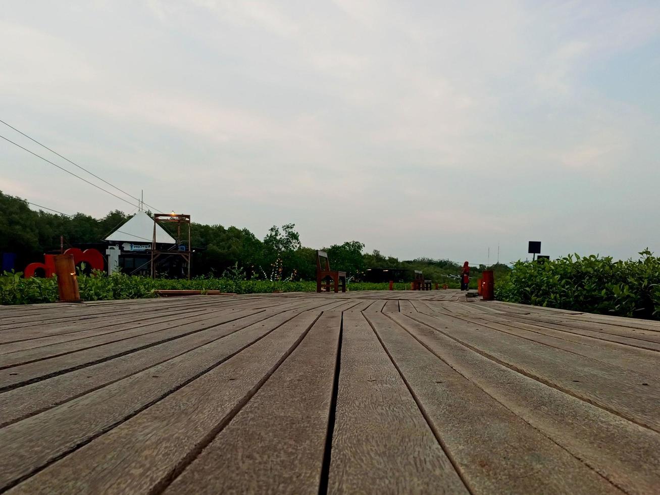 A view of the sky and sea with plants on the right and left and a wooden path in the middle. photo