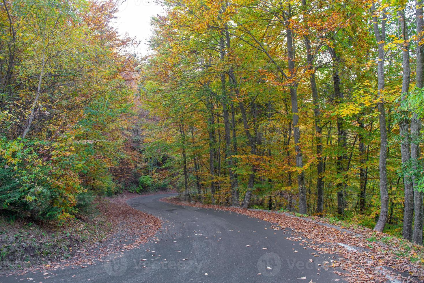 Mountain road in the autumn photo