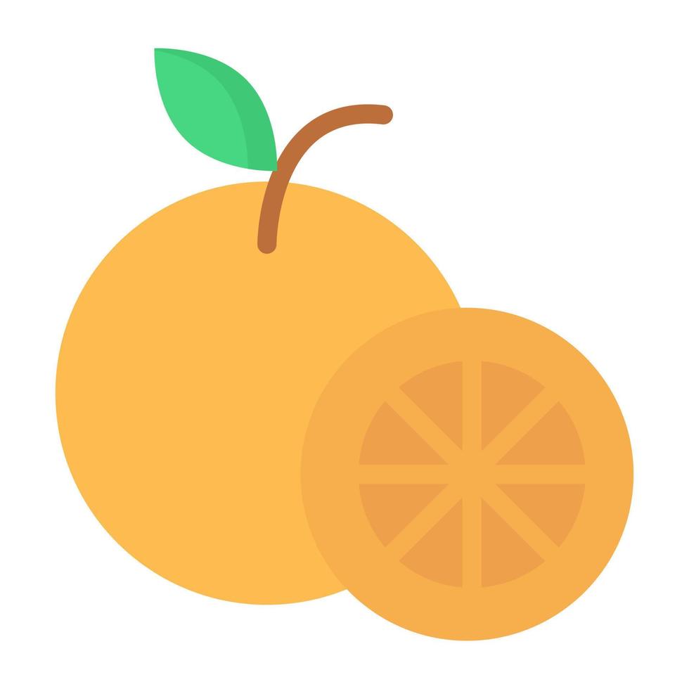 Citrus fruit icon, at design of orange vector