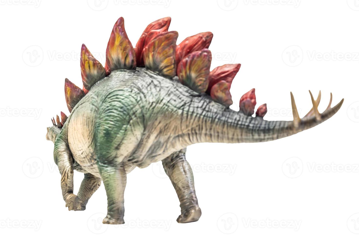 dinosaur , Stegosaurus isolated background photo