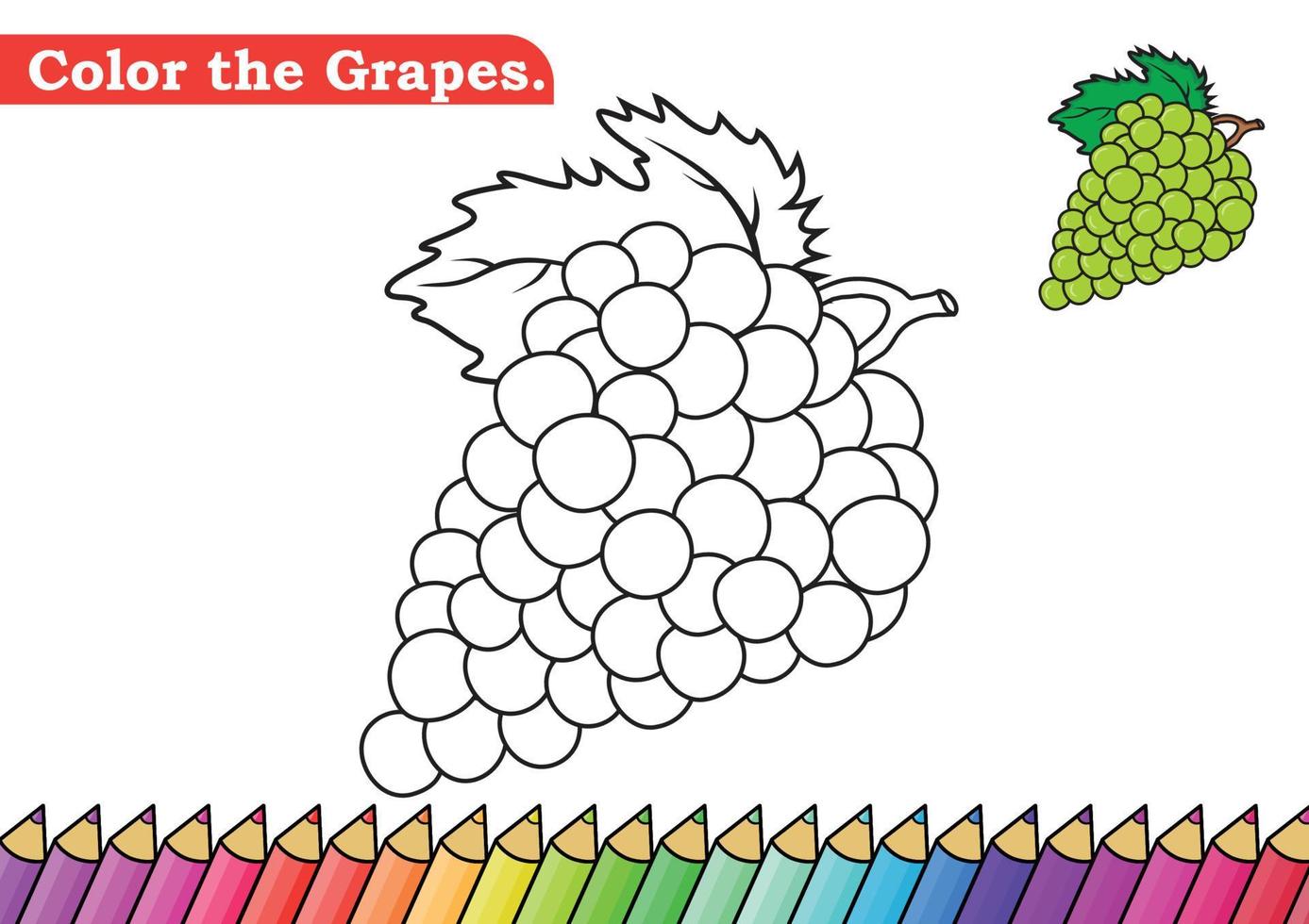 Coloring page for Grapes vector illustration.  Kindergarten children Coloring pages activity worksheet with cute Grapes cartoon.  Grapes isolated on white background for color books.