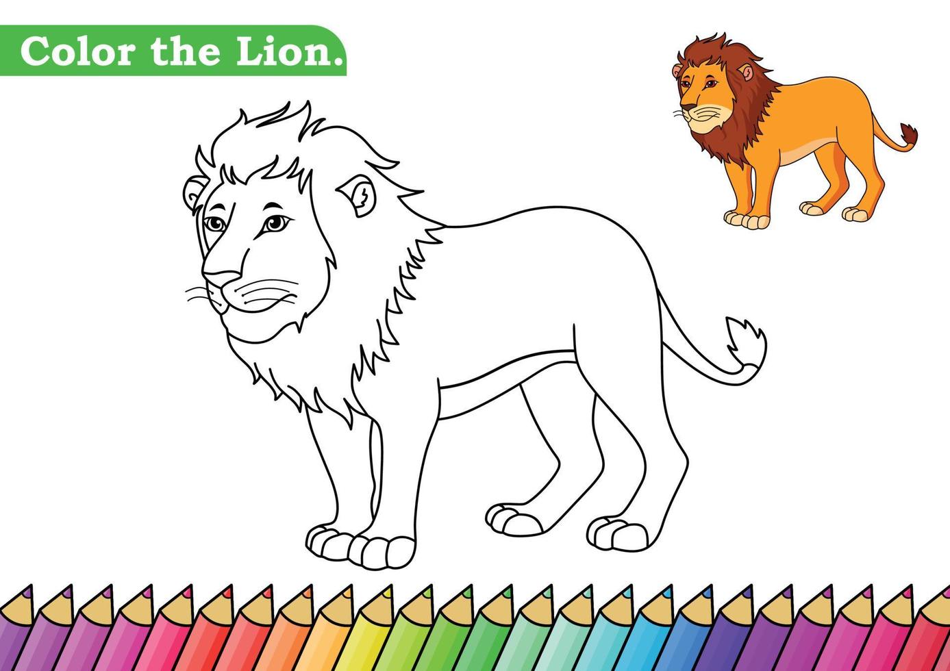 Coloring page for Lion vector illustration.  Kindergarten children Coloring pages activity worksheet with big cute Lion cartoon.  Lion isolated on white background for color books.