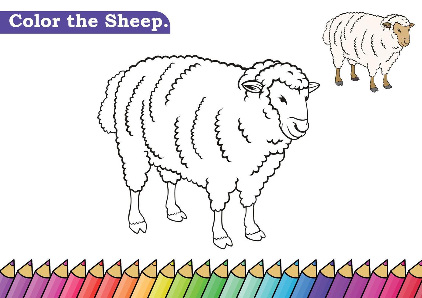 página para colorear ovejas. libro para colorear aislado. páginas a color para niños. ovejas aisladas. vector