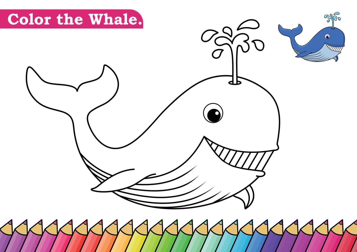 página de color para la ilustración de vector de ballena. Hoja de trabajo de actividad de páginas para colorear de niños de jardín de infantes con dibujos animados de ballenas grandes y lindas. ballena aislada sobre fondo blanco para libros de colores.