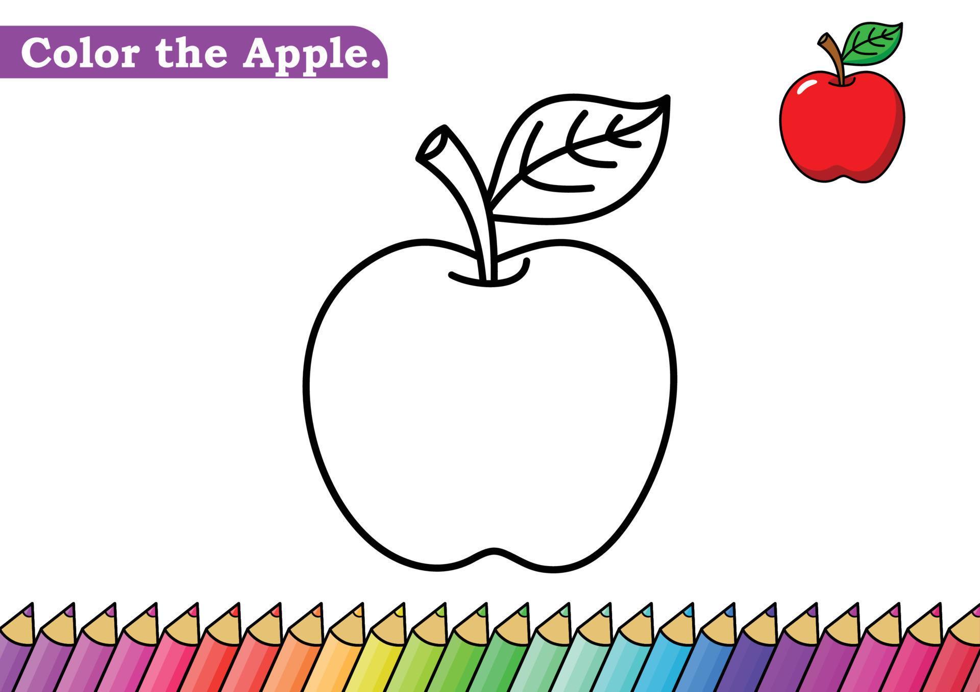 Apple coloring page. isolated coloring book. color pages for kids. Apple isolated. 13106909