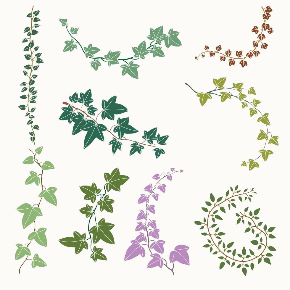 Simplicity ivy freehand drawing flat design collection. vector