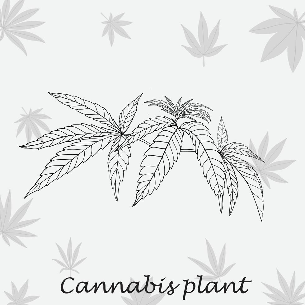 Simplicity cannabis plant freehand drawing flat design. vector