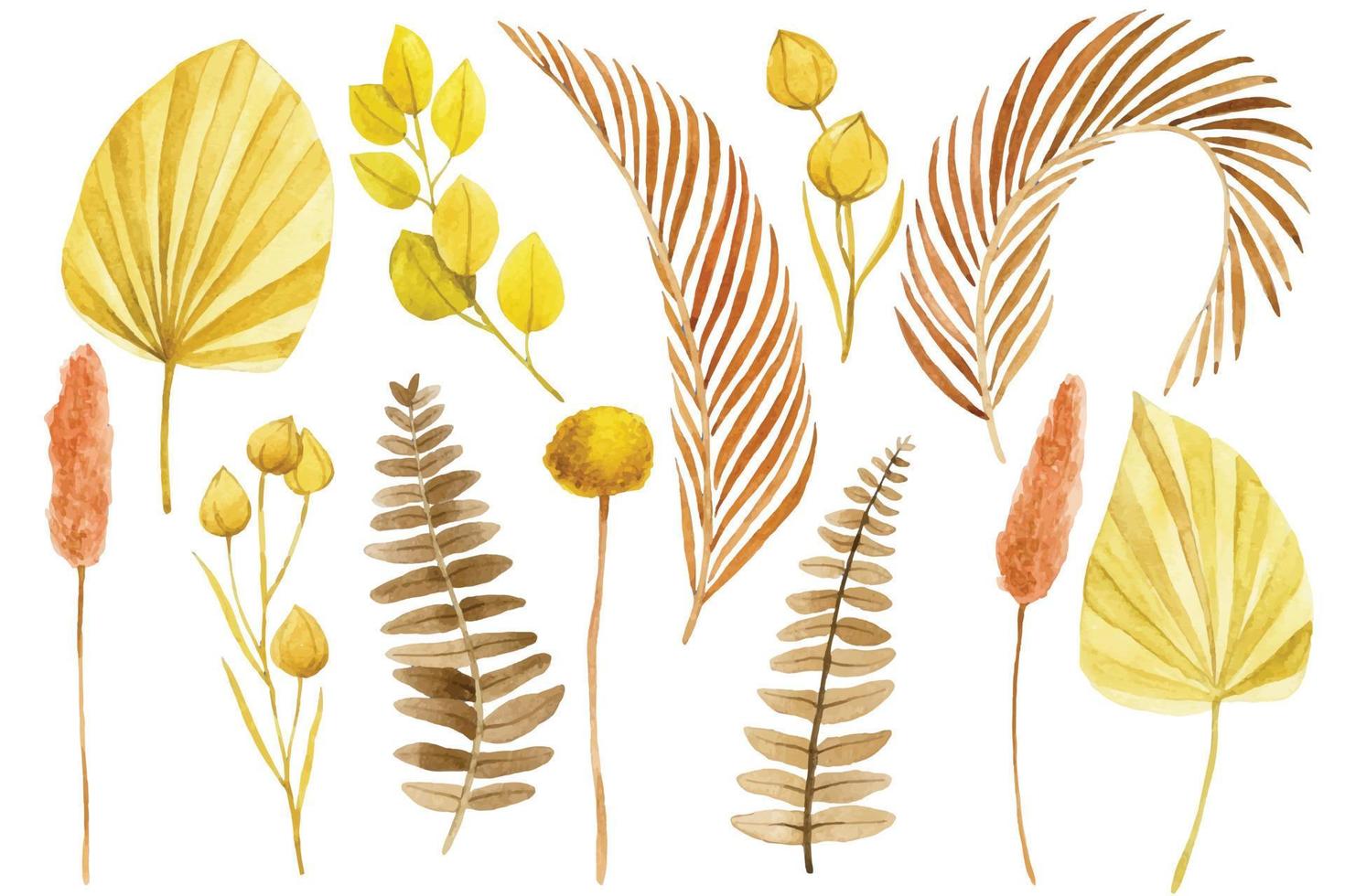 watercolor drawing, set of dry tropical leaves in boho style. dried flowers, palm leaves, ferns vector