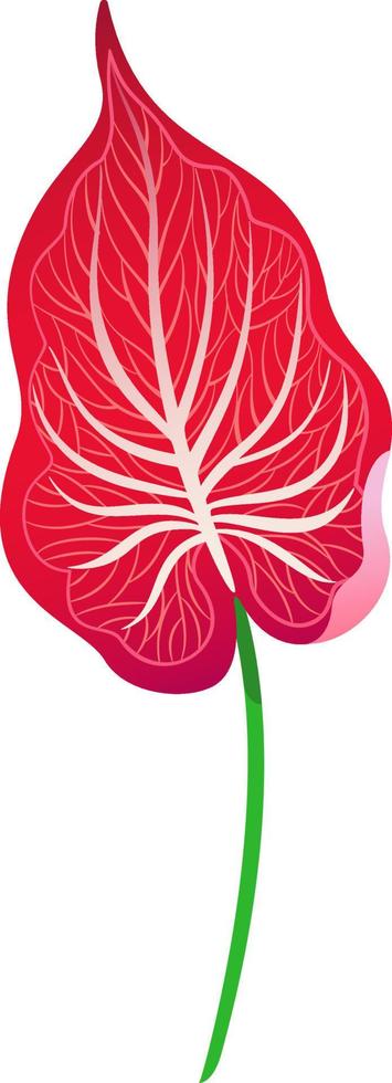Red Foliage Plant vector