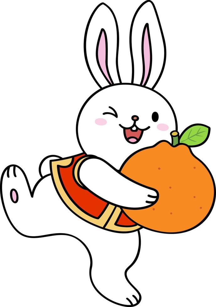 Rabbit Raises his Feet and Holds an Orange vector