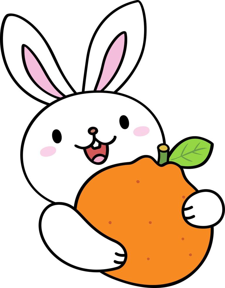 Rabbit Holding an Orange vector