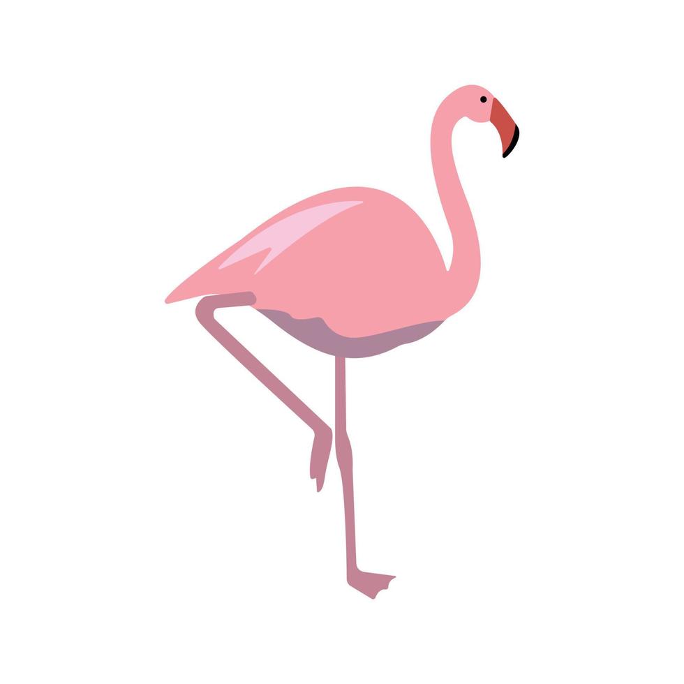 Pink flamingo vector flat illustration isolated on white background.