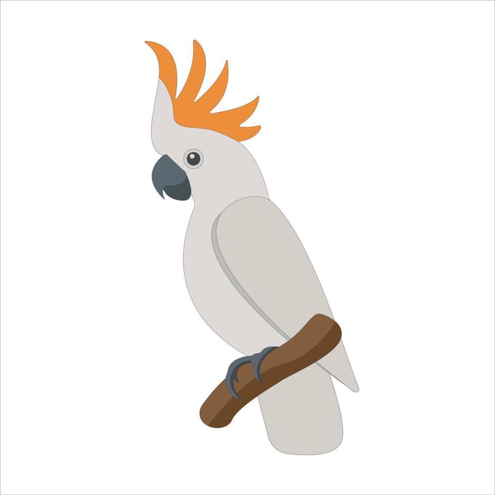 Cute flat cockatoo isolated on white background. Vector parrot.