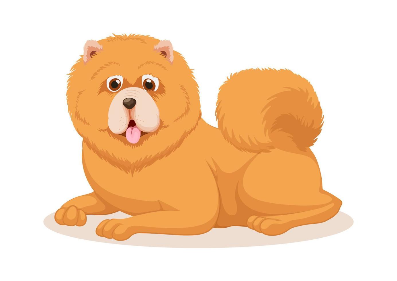 Chow Chow Dog Sitting Vector