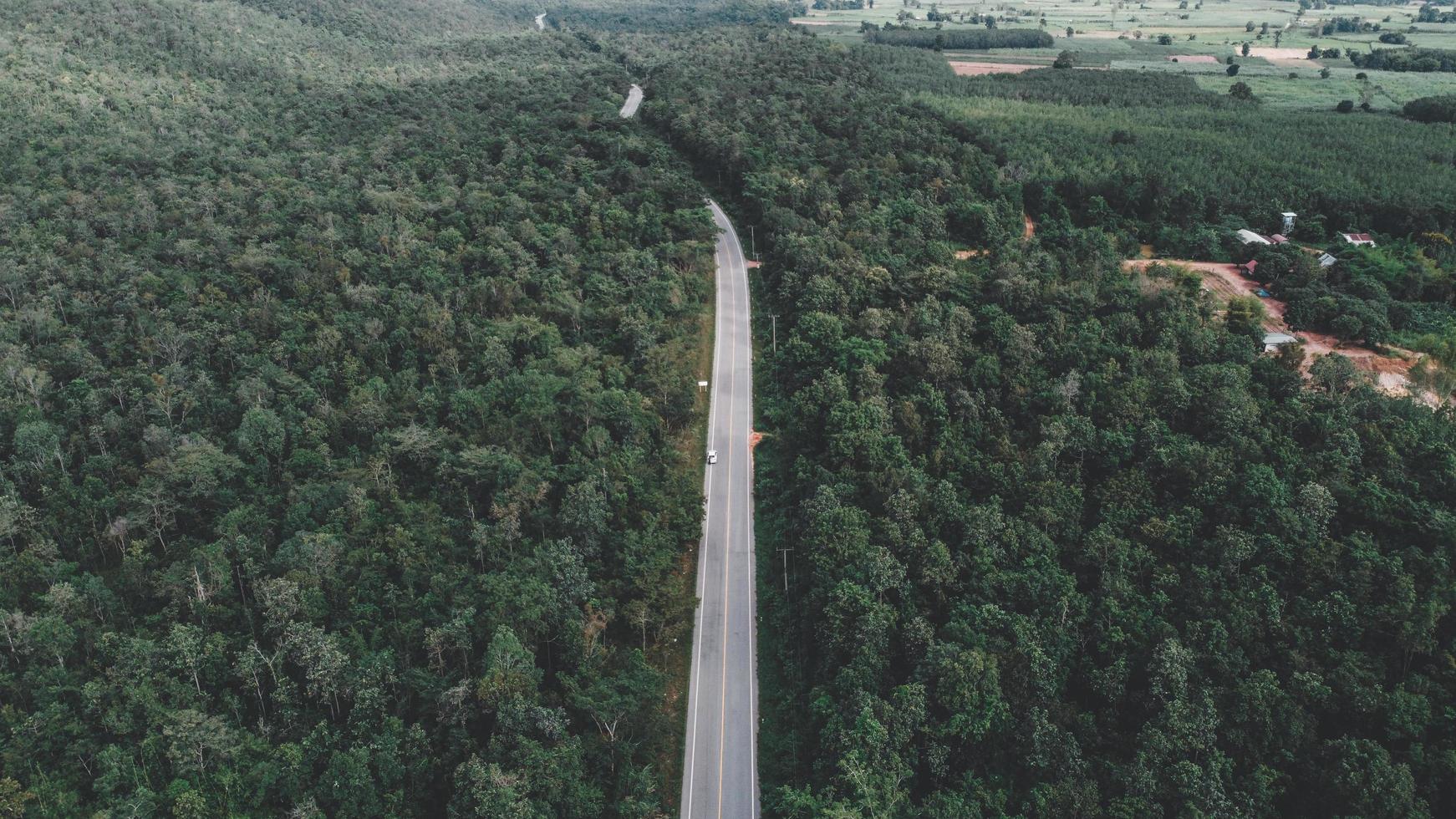 Arial view of a highway through a forest at sunset photo