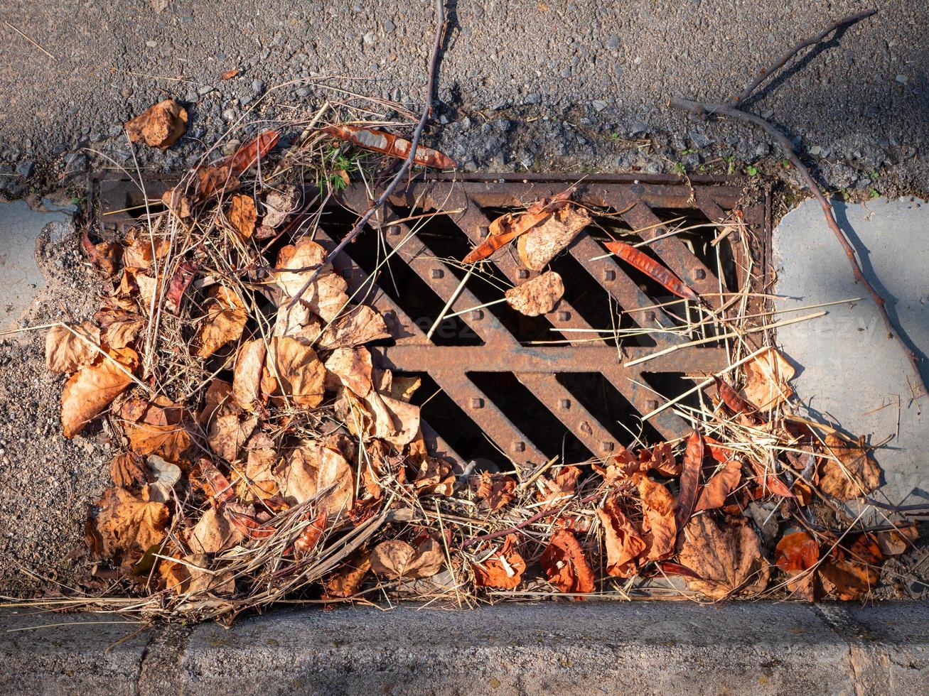 Rusty sewer grating covered with various dry fallen leaves and twigs photo